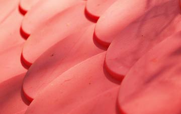 Borough The plastic roof costs