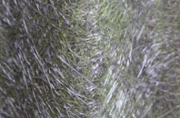 Borough The fibreglass roof work